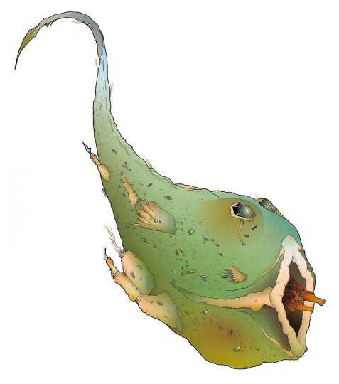 Datei:YorikTrema bg.jpg