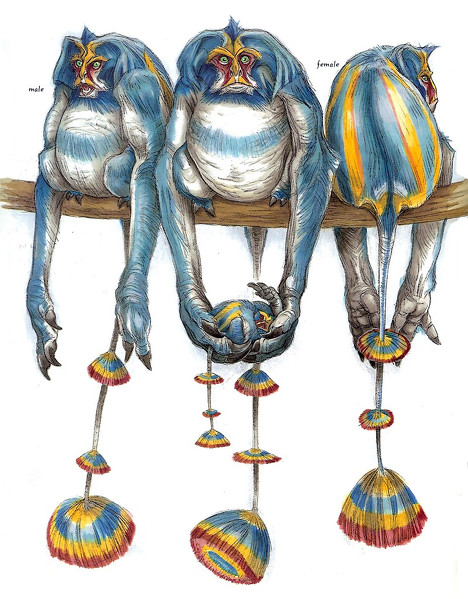 Datei:468px-Woolamanders woswfg.jpg