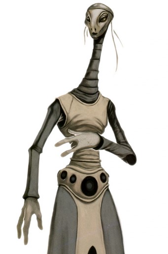 Datei:334 kaminoaner.jpg