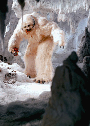 Datei:Wampa1.jpg